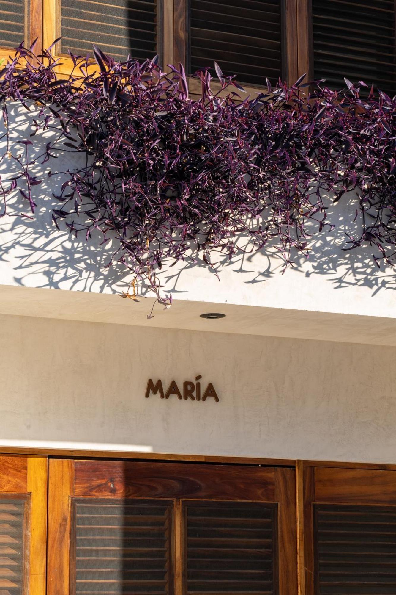 Hotel Casa Mava Brisas de Zicatela Exteriér fotografie